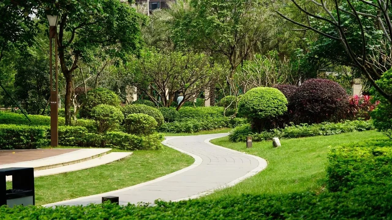 9001cc��ɳ�Գ�Ϊ��(�й�����)-�ٷ���վ