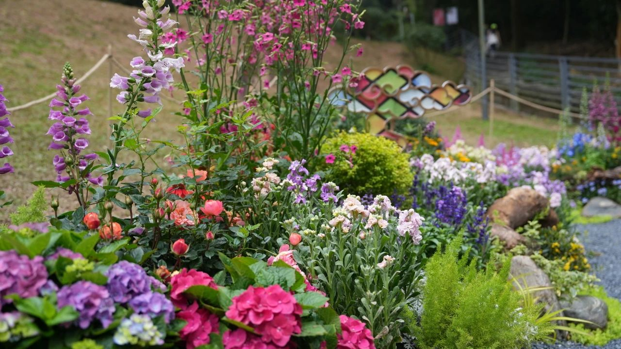 9001cc��ɳ�Գ�Ϊ��(�й�����)-�ٷ���վ