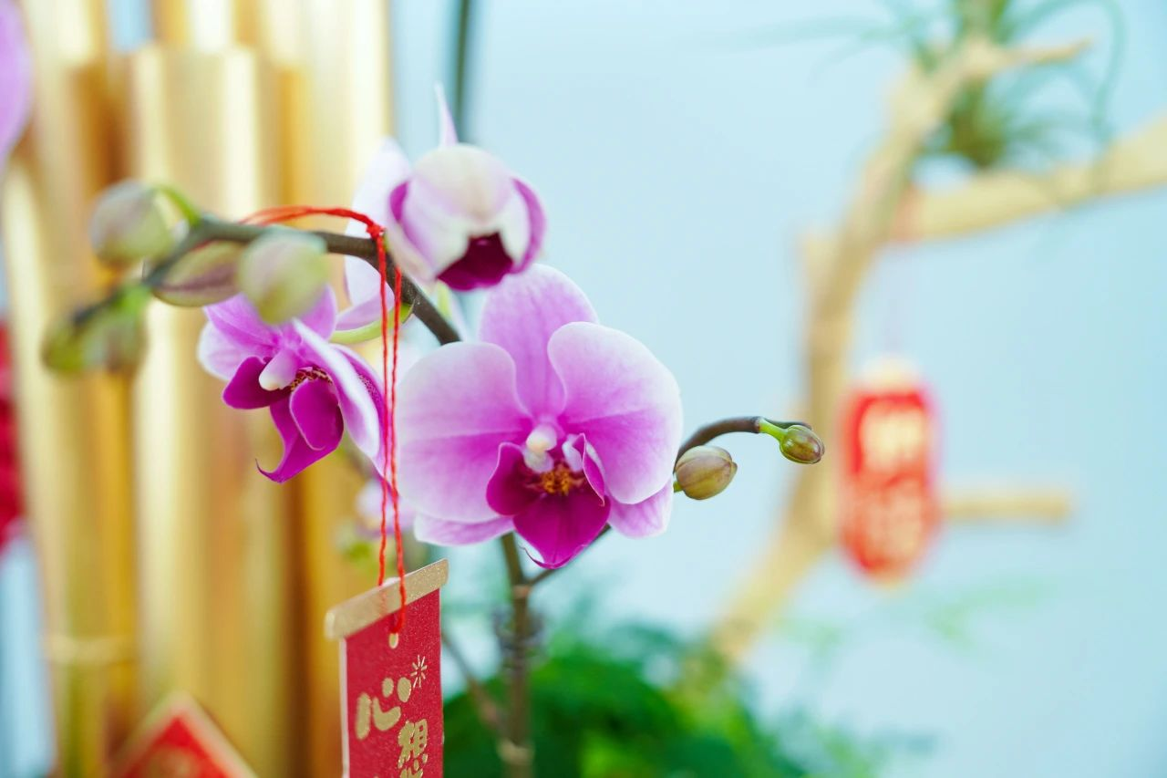 9001cc��ɳ�Գ�Ϊ��(�й�����)-�ٷ���վ