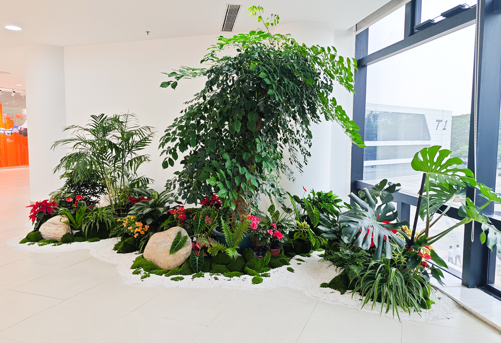 �����о�Ժ��ֲ���