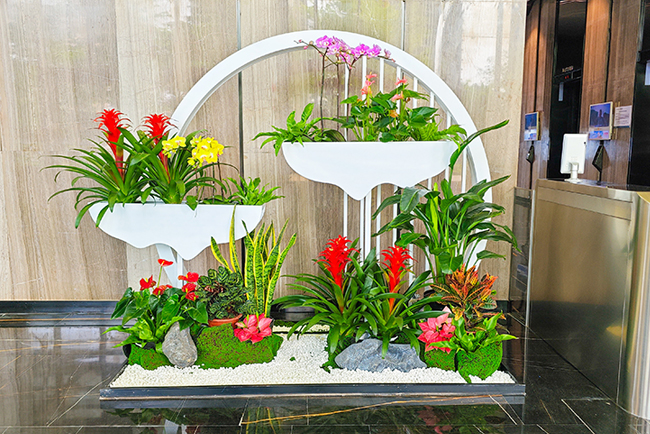 �����󶼻�����̻������龰