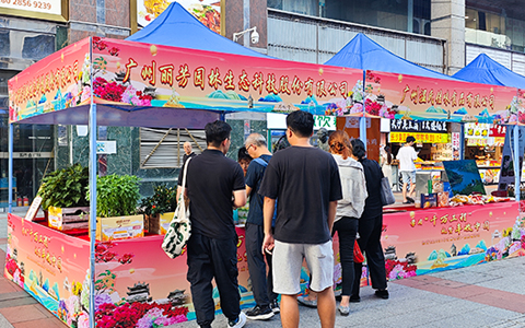 9001cc��ɳ�Գ�Ϊ���ԿƼ�����������սڣ�����������������ն�ʻ���