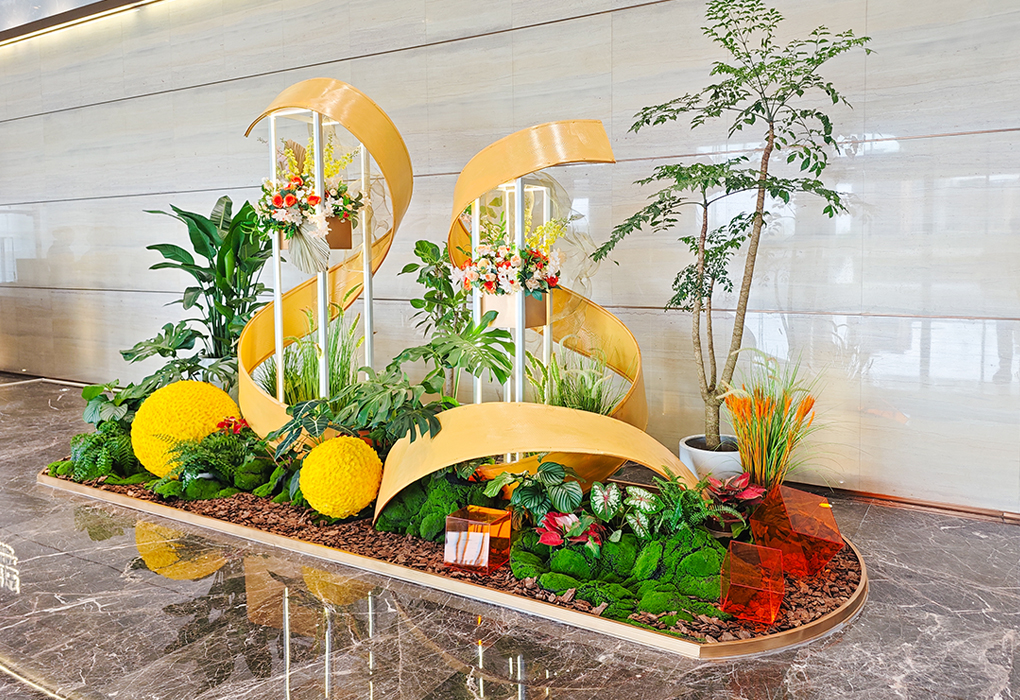 9001cc��ɳ�Գ�Ϊ����ֲ��ڡ������ƽ�ش���