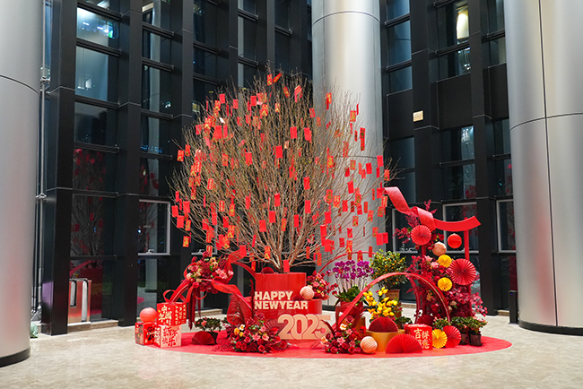 ����㳡�껨�������