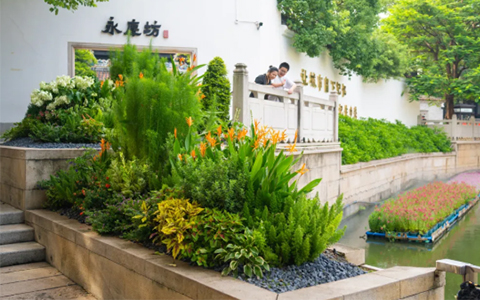 ������ư���������������9001cc��ɳ�Գ�Ϊ�����Ĵ������췻��Ī�λ�԰������ʢ��