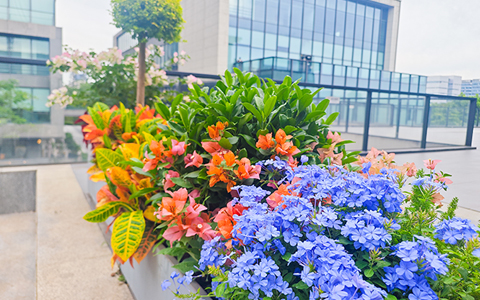 9001cc��ɳ�Գ�Ϊ������������ۿƼ�԰��������������������조�����͡���ҵ�ռ�