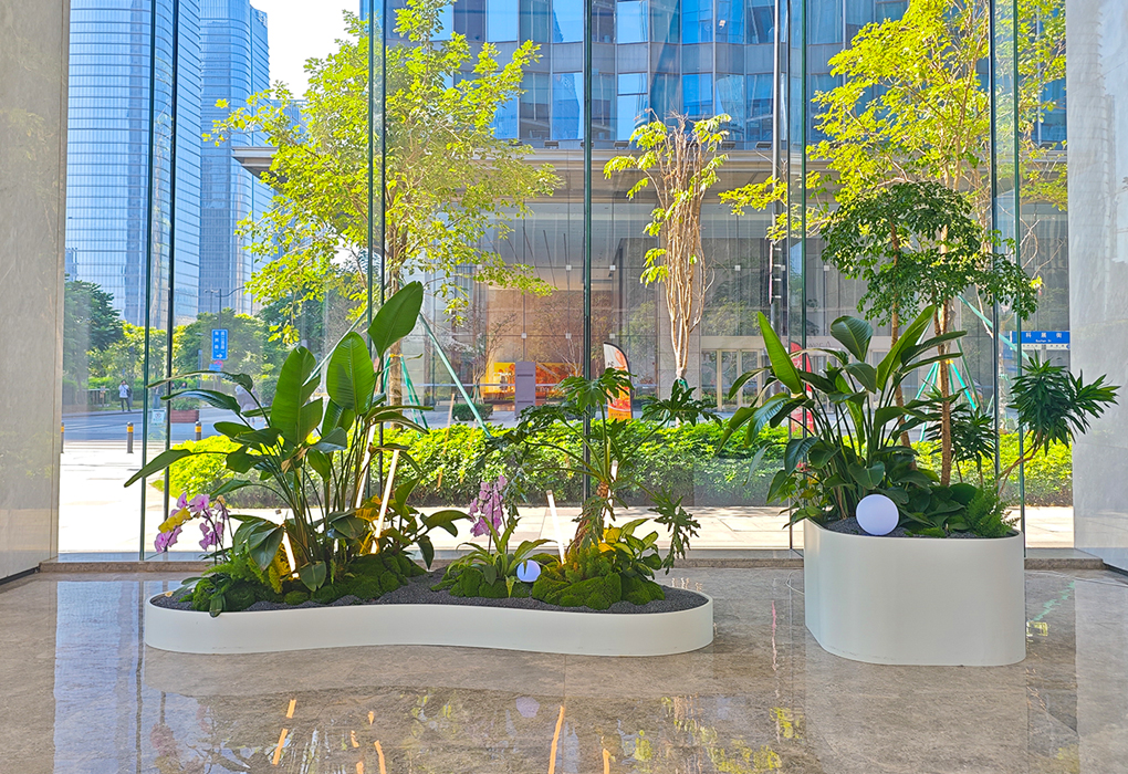 ����С�״�����ֲ���