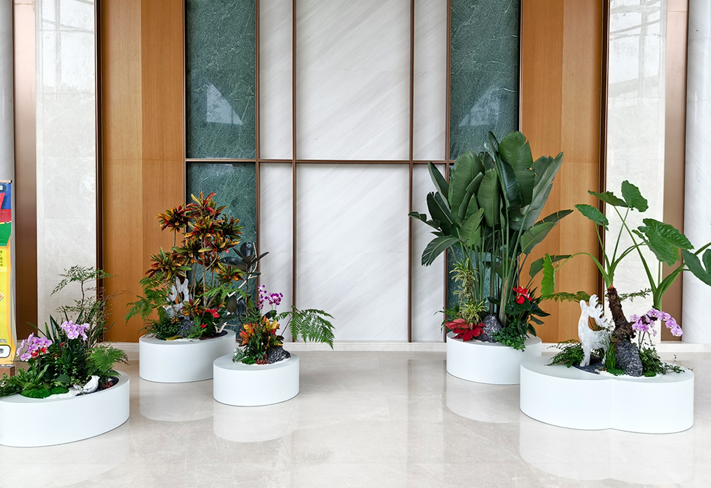 ��ݸ��Ϊ�з�������ֲ��ڰ���