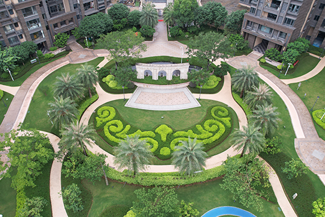 С���̻�����