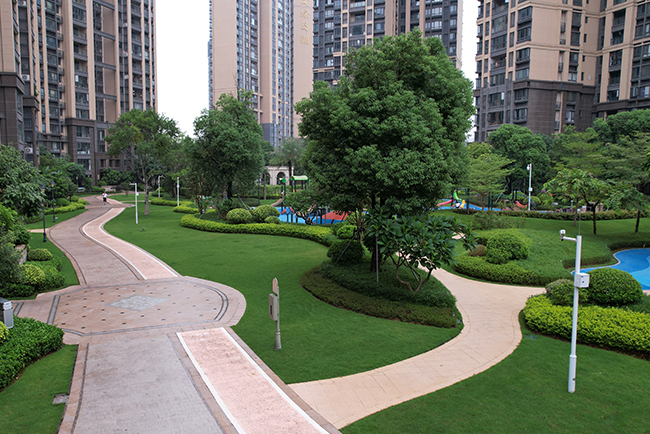 С���̻�����