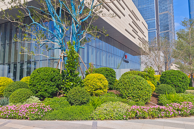 �a�_�����̻�����